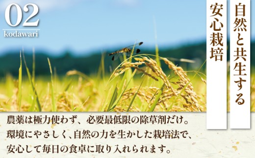 æ°ç±³ å
è¡äºçŽ ç¹Aã©ã³ã¯ ç±³ ã¯ãã¿ 5kg 什å7幎 10æä»¥é é æ¬¡çºé ãã 什å7å¹ŽåºŠç£ çã ã〠ãããã«ãª ã³ã·ãã«ãª ããã²ãã ãããŸã kome â» ãç±³ çœç±³ ã飯 ãã¯ã åŒåœ ãåŒåœ ãã«ãã ã¯ããŸã 粟米 ãã©ã³ãç±³ æ¹åçãŸã 蟲家çŽé æ°ééå® ç£å°çŽé 西山蟲å ç¥å¥å· æ¹å è€æ²¢