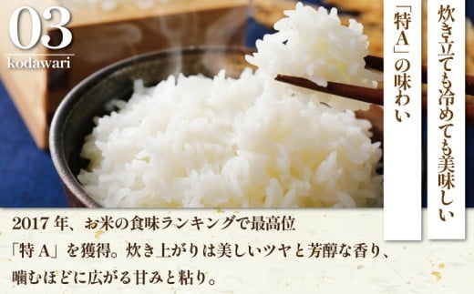 æ°ç±³ å
è¡äºçŽ ç¹Aã©ã³ã¯ ç±³ ã¯ãã¿ 5kg 什å7幎 10æä»¥é é æ¬¡çºé ãã 什å7å¹ŽåºŠç£ çã ã〠ãããã«ãª ã³ã·ãã«ãª ããã²ãã ãããŸã kome â» ãç±³ çœç±³ ã飯 ãã¯ã åŒåœ ãåŒåœ ãã«ãã ã¯ããŸã 粟米 ãã©ã³ãç±³ æ¹åçãŸã 蟲家çŽé æ°ééå® ç£å°çŽé 西山蟲å ç¥å¥å· æ¹å è€æ²¢