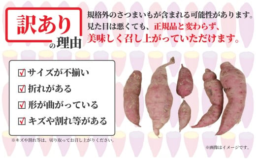 èš³ãã ãã€ãŸãã çŽ
ã¯ãã 10kg èš³ã¢ãª èš³æ ãµããã€ã¢ è©æ©è ãã€ãŸè ãã¶ãŒã ã¹ã«ã¯ãã ã¹ã€ãŒã çè ã¹ã€ãŒãããã sweet potato è èè è ã€ã¢ æ¬ ç§éè ç§ã®å³èŠ ãã〠é£ç©ç¹ç¶ æ°ééå® èŸ²å®¶çŽé ç£å°çŽé äžæã 10000å ç¥å¥å· æ¹å è€æ²¢ ããã ããžæ¹å