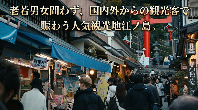  あさひ本店 お試し セット せんべい たこせんべい 海老せんべい 青のせんべい しらす 海鮮 あさひ 本店 丸焼き 人気 行列 店 江の島 江ノ島 片瀬 職人 藤沢名物 手土産 鉄板焼き 通販 お取り寄せ 土産 ギフト プレゼント 贈り物 煎餅 おせんべい てづくり 手作り 和菓子 おやつ お菓子 神奈川 湘南 藤沢