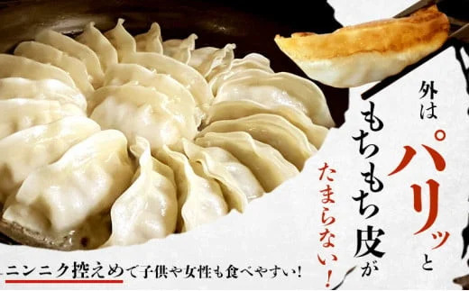 餃子 ぎょうざ 96個 (48個 × 2 パック) 肉汁たっぷり 大きい 国産 ブランド豚 ルイビ豚 小分け 豚肉 野菜 肉 湘南餃子 湘南ぎょうざ 焼き餃子 gyouza ギョーザ 冷凍餃子 生餃子 冷凍 ご飯 おかず 冷凍食品 中華 おつまみ 簡単調理 時短 簡易包装 手作り餃子 サノフーズ 神奈川 湘南 藤沢