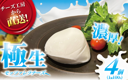 チーズ モッツァレラ チーズ 4個 極生 モッツァレラチーズ ちーず ナチュラルチーズ cheese フレッシュチーズ ミルク 新鮮 出来立て 直送 ビール おつまみ おやつ ピザ パスタ 人気 ギフト お取り寄せ 贈り物 贈答 Aprotodo’S株式会社 RRAAP BREWERY 神奈川 湘南 藤沢