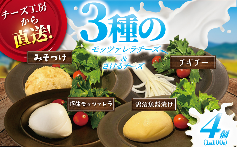 チーズ モッツァレラ 3種＋ チギチー チーズ 4種セット 極生 魚醤漬け 味噌漬け チギチー モッツァレラチーズ 裂けるチーズ ちーず ナチュラルチーズ cheese ビール おつまみ おやつ 人気 お取り寄せ 贈り物 贈答 Aprotodo’S株式会社 RRAAP BREWERY 神奈川 湘南 藤沢