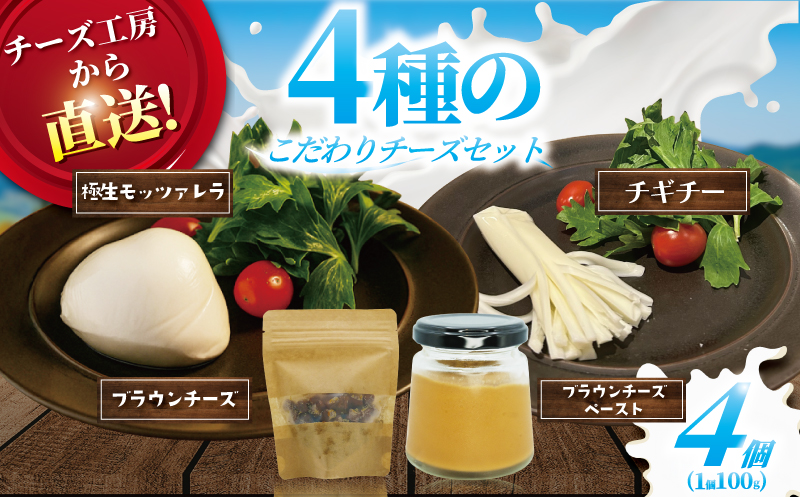 年内発送 ！ ( 12/23決済完了分まで) チーズ ブラウンチーズ チーズ セット 4種 ブラウンチーズ入 モッツァレラチーズ ブラウンチーズペースト チギチー さけるチーズ 極生 モッツァレラ ちーず ナチュラルチーズ 人気 おっぱいの恵み ビール おつまみ cheese Aprotodo’S株式会社 RRAAP BREWERY 神奈川 湘南 藤沢