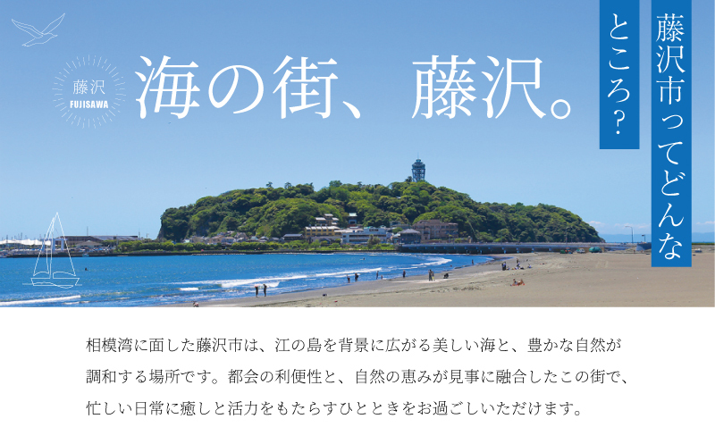 江の島　ドッグサーフィン撮影チケット