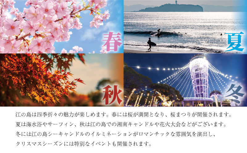 江の島　ドッグサーフィン撮影チケット