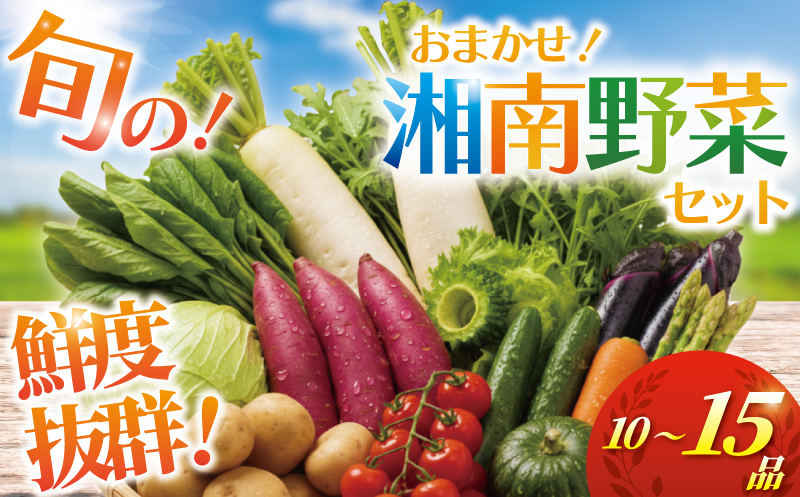 野菜 セット 旬 の 湘南野菜 おまかせ セット 10 ～ 15品 お任せ 詰め合わせ 野菜セット やさい やさいセット yasai きゅうり トマト なす ねぎ さといも 小松菜 白菜 玉ねぎ とまと キュウリ ヤサイ yasai 旬の野菜セット 新鮮 数量限定 神奈川 湘南 藤沢