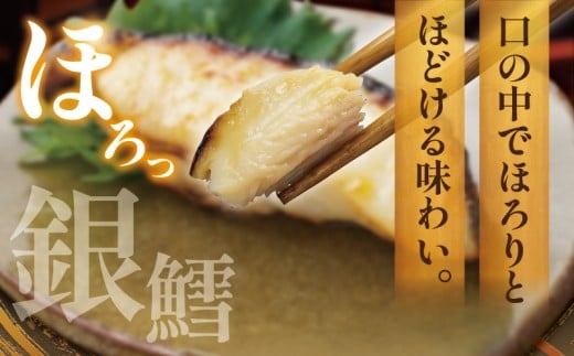 éé± è¥¿äº¬æŒ¬ã èšçŽ 1kg (çŽ 100g à 10å) 西京å³å 西京ã¿ã å³å挬ã ã¿ã å³å é®®é éä» éã ã éãã© ã®ã³ãã© ããã ã é± ã¿ã© é 西京çŒã 西京挬 西京ãã å·å å³éž é®®é æŒ¬ãé æŒ¬é æ°é®® å°åã 人æ°è¿ç€Œå ããã ãã€ãŸã¿ æ£è ãé
ã®ã㊠家èšå¿æŽ éå ç¥å¥å· æ¹å è€æ²¢