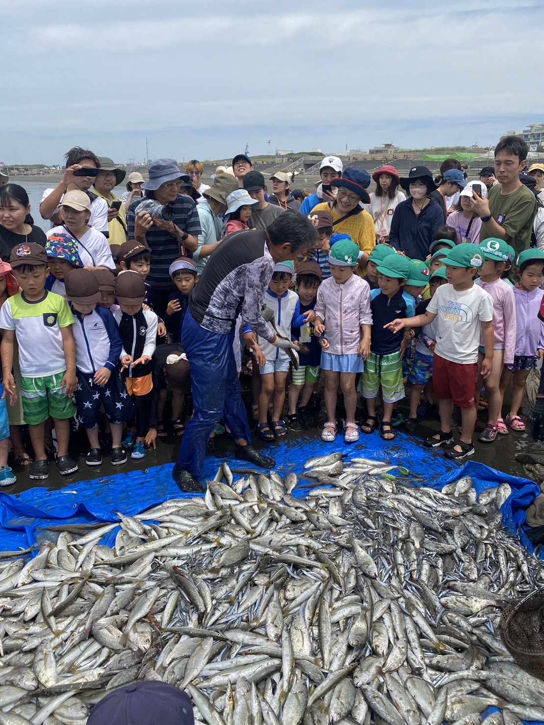 地引き網体験 バーベキュー BBQ 地引網 団体 30人～ プラン 江の島 江ノ島 観光 魚 海 予約 アクティビティ レジャー イベント 体験 マリンアクティビティ レクリエーション 体験学習 事前予約 自然 おすすめ 手ぶら 体験型観光 片瀬海岸 子ども こども 家族 子供 関東 首都圏 神奈川県 湘南 藤沢市