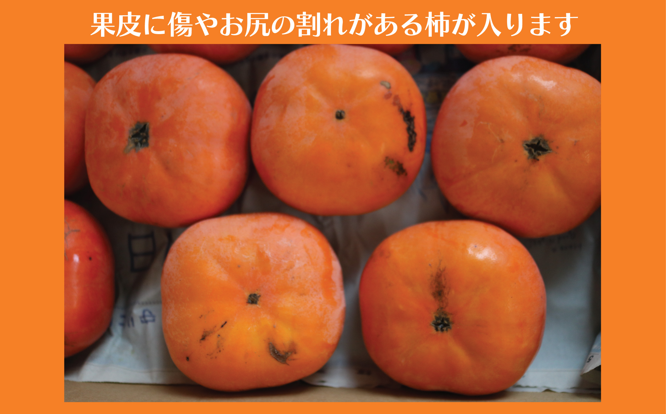 æ¿ å¯ææ¿ æ¬¡éæ¿ 5kg åçš®ããŸãã èš³ãã èš³ã¢ãª ãããã å
è¡äºçŽ 2026幎11æäžæ¬çºé ãã ã«ã ããã㊠ãã ãã® æç© æå® ãã«ãŒã æ¬ æ°é®® å
è¡äºçŽ æ°ééå® ç£å°çŽé 蟲家çŽé å¥åº· ãã¿ãã³ æ é€ ãããã ãè€çŸ ç§ã®å³èŠ ãžã¥ãŒã·ãŒ ã å®¶åºçš ãããã ãåãå¯ã 50å¹Žéæ¿äœã 颿 ¹ææš¹å ç¥å¥å· æ¹å è€æ²¢