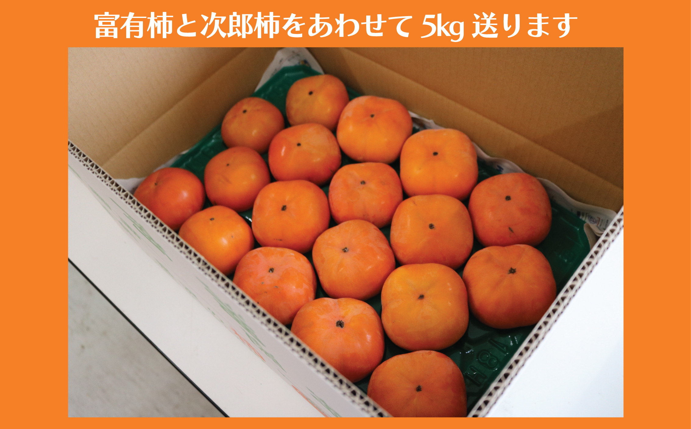 柿 富有柿 次郎柿 5kg 贈答用 品種おまかせ 先行予約 2026年11月中旬発送 かき カキ もぎたて くだもの 果物 果実 フルーツ 旬 新鮮 先行予約 数量限定 産地直送 農家直送 健康 ビタミン 栄養 おいしい ご褒美 秋の味覚 ジューシー ご 家庭用 おすすめ お取り寄せ プレゼント ギフト 贈り物 関根果樹園 神奈川 湘南 藤沢