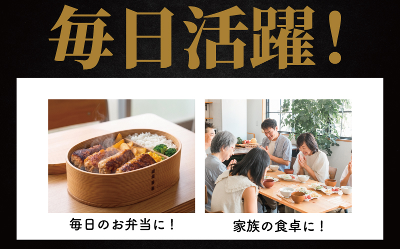ハンバーグ 20個 計2kg 100g × 4個 × 5セット はんばーぐ 大容量 豚肉 牛肉 牛 豚 肉 合い挽き肉 冷凍 冷凍食品 簡単調理 焼くだけ お弁当 おかず 遠足 夕食 便利 簡単 こども 人気 おすすめ 詰め合わせ お惣菜 ジューシー スパイス 株式会社タカギフーズ 湘南 神奈川 藤沢