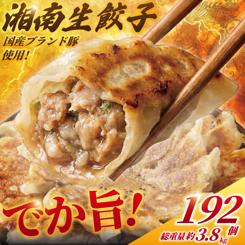 餃子 ぎょうざ 192個 (48個 × 4 パック) 肉汁たっぷり 大きい 国産 ブランド豚 ルイビ豚 小分け 豚肉 野菜 肉 湘南餃子 湘南ぎょうざ 焼き餃子 gyouza ギョーザ 冷凍餃子 生餃子 冷凍 ご飯 おかず 冷凍食品 中華 おつまみ 簡単調理 時短 簡易包装 手作り餃子 サノフーズ 神奈川 湘南 藤沢