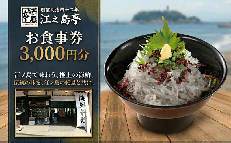食事券 江の島 江之島亭 お食事券 3000円分 海鮮 海鮮丼 ギフト グルメギフト ギフト券 魚 さかな しらす シラス 丼  新鮮 釜揚げしらす 生しらす 料理 sirasu 江ノ島 チケット 食べ物以外 人気 観光 旅行 トラベル ランチ  昼食  神奈川 湘南 藤沢