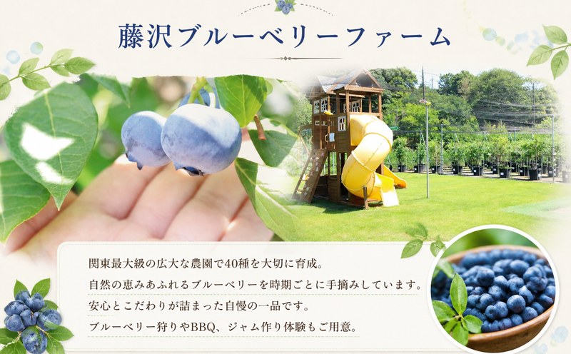 ブルーベリー ギフト ジュース ジャム はちみつ 1箱 贈答用 お中元 お歳暮 ブルーベリージャム フルーツ ドリンク 果物 国産 ソース パン 菓子 厳選 詰め合わせ blueberry お取り寄せ 藤沢ブルーベリーファーム 湘南 神奈川 藤沢