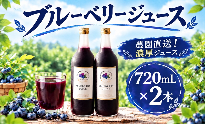 ブルーベリージュース 750mL 2本セット フルーツジューズ 果物ドリンク くだもの 果物 果汁 ふるうつ フルーツドリンク ソフトドリンク じゅーず ぶるーべりー デザート blueberry 国産 ソース 厳選 詰め合わせ お取り寄せ 藤沢ブルーベリーファーム 湘南 神奈川 藤沢