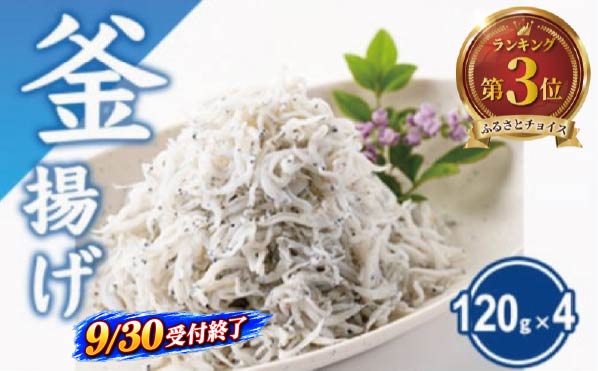 釜揚げしらす しらす 計480g