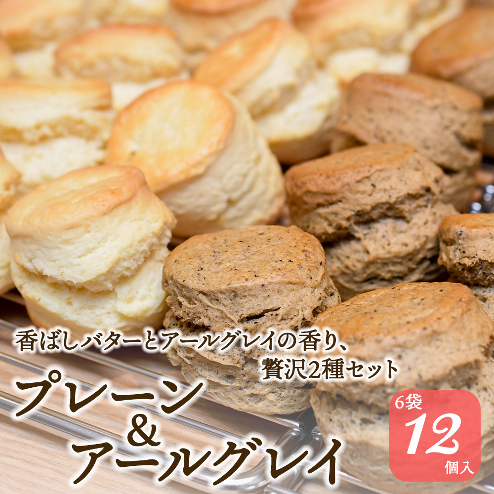 スコーン 12個 セット 2種 ( プレーン 6個 アールグレイ 6個 ) 焼き菓子 お菓子 焼菓子 おやつ 洋菓子 デザート スイーツ 人気 発酵 バター コク 風味 すこーん 常温 ミルクティー 手土産 ギフト プレゼント 手作り 紅茶 茶 専門店 ティー イソブチカンパニー 神奈川 湘南 藤沢