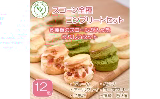 スコーン 6種 × 2個 12個 セット 焼き菓子 お菓子 焼菓子 おやつ 洋菓子 デザート スイーツ プレーン アールグレイ いちご 苺 バナナ ローズマリー チーズ 抹茶 人気 バター コク 風味 すこーん 常温 ミルクティー 紅茶 茶 専門店 ティー イソブチカンパニー 神奈川 湘南 藤沢