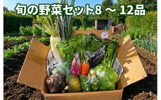 野菜 セット 8 ～ 12品 旬 の野菜 おまかせ セット お任せ 詰め合わせ 野菜セット やさい やさいセット yasai きゅうり トマト なす ねぎ さといも 小松菜 白菜 玉ねぎ とまと キュウリ ヤサイ 旬の野菜セット 新鮮 数量限定 亀井農園 神奈川 湘南 藤沢