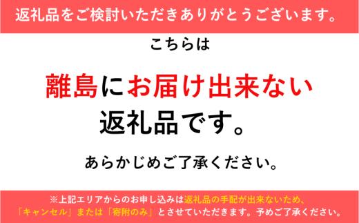 パイゼル サーフボード オーダーチケット 60,000円分 サーフィン 海 波 マリンスポーツ 波乗り オーダー チケット Ticket 江の島 江ノ島 PYZEL SURFBOARDS JAPAN 株式会社 神奈川 湘南 藤沢