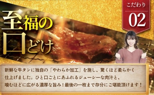牛タン 計 1.2kg 塩ダレ ( 300g × 4 パック ) 切り落とし 牛たん 牛 たん タン 牛肉 塩 たれ タレ 味付 gyutan 訳アリ 訳有 訳有り わけあり 訳あり品 ワケアリ 焼肉 おすすめ 肉 お肉 ビーフ ぎゅうにく 簡単調理 BBQ おかず 冷凍 焼き肉 タカギフーズ 神奈川 湘南 藤沢市