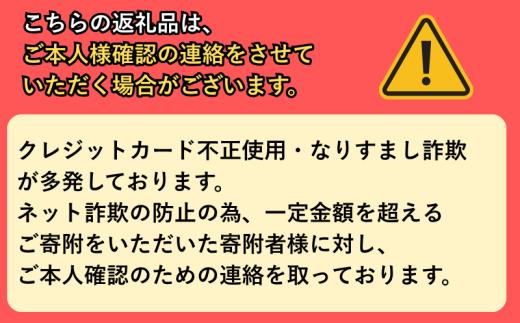 パイゼル サーフボード PYZEL SURFBOARDS CRISIS TWIN サーフィン 海 波 マリンスポーツ 波乗り 江の島 江ノ島 PYZEL SURFBOARDS JAPAN 株式会社 神奈川 湘南 藤沢