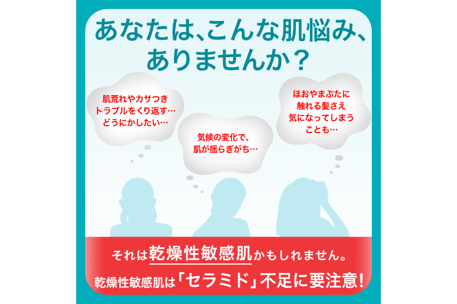 定期便3ヶ月 花王 キュレル 湿潤保湿 化粧水I ややしっとり【 化粧品 コスメ 敏感肌 乾燥 紫外線 セラミドケア 神奈川県 小田原市 】