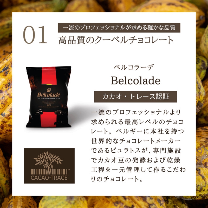 幸せの生ガトーショコラ 450g 定期便12ヶ月【チョコレート 特濃厚 濃密な味わい 極上の口溶け 極上のチョコレート 一流の料理人 チョコレート本来の味わいと甘み カカオの風味やコク カカオ 至極の逸品 神奈川県 小田原市 】