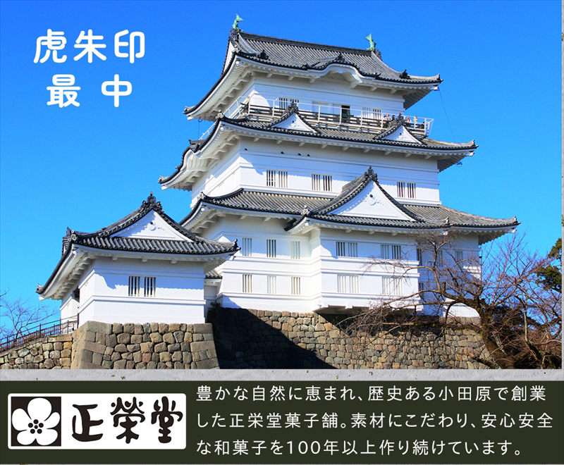 【小田原北条氏ゆかりの虎朱印の形をした最中 10個セット】小田原の老舗菓子店「正栄堂」の代表銘菓神奈川県指定銘菓登録商品。【 和菓子 神奈川県 小田原市 】