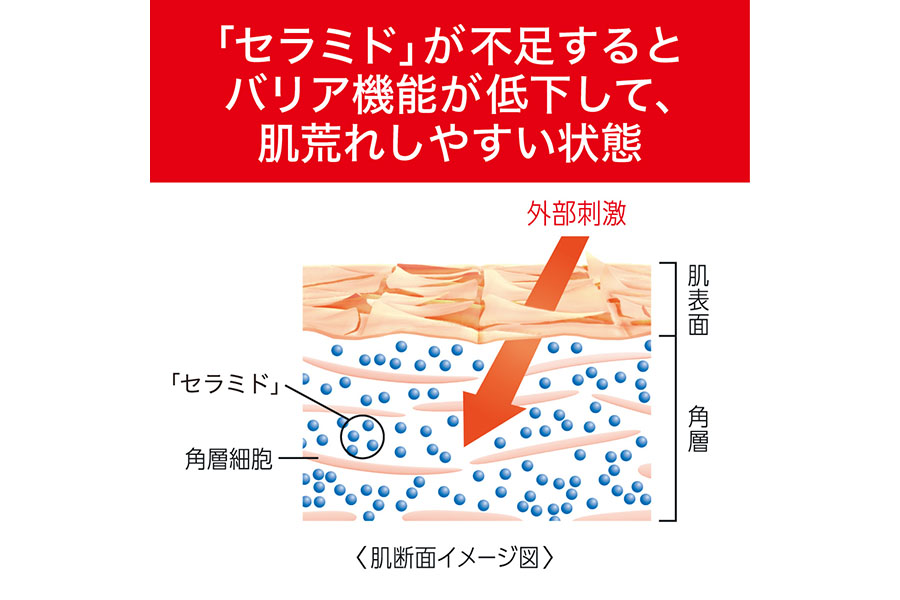 花王　キュレル　潤浸保湿　泡洗顔料　１３０ml　詰替　6個セット【 化粧品 コスメ 神奈川県 小田原市 】