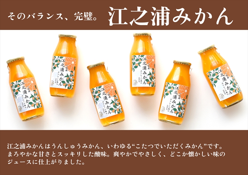 定期便 １２回 小田原産江之浦みかん１００％ストレートジュース１８０ml３０本