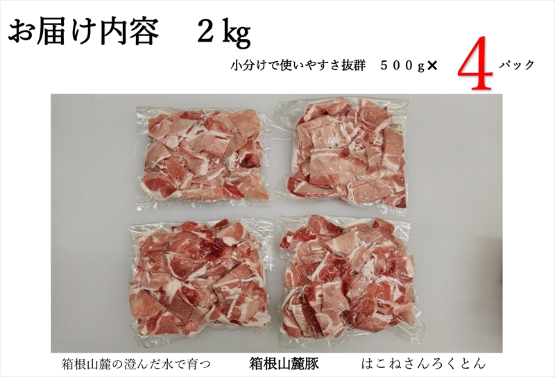 【定期便６ヵ月】箱根山麓豚　モモ・ウデ切り落とし２K盛り(500ｇ×４パック)【 箱根山麓豚 切り落とし 神奈川県 小田原市 】