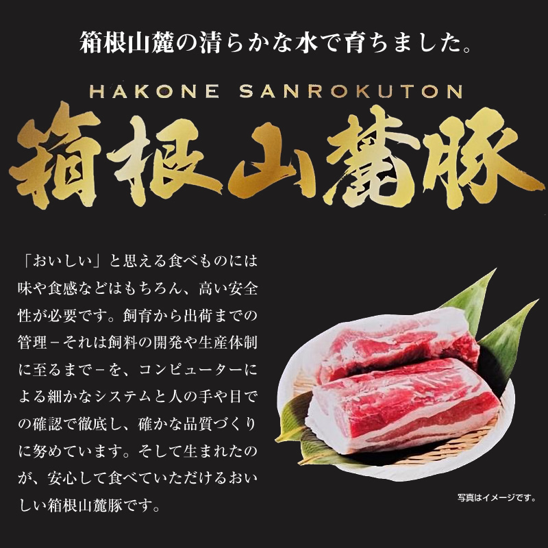 箱根山麓豚　モモ・ウデ切り落とし３K盛り(500ｇ×６パック)【 箱根山麓豚 切り落とし 神奈川県 小田原市 】