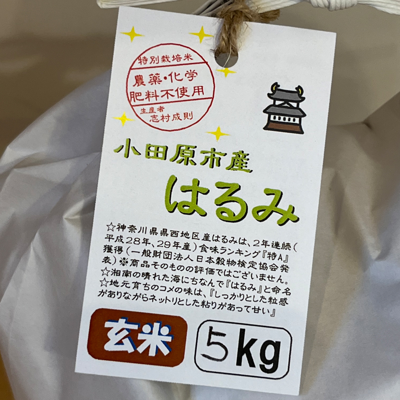  志村屋米穀店 令和6年産 新米 小田原市産 農薬・化学肥料不使用はるみ(玄米)  15kg（5kgｘ3）＜出荷時期：10月中旬より順次出荷開始＞【玄米 はるみ 特A 贈答用 ご家庭で 贈り物 クラフト袋入り 神奈川県 小田原市 】