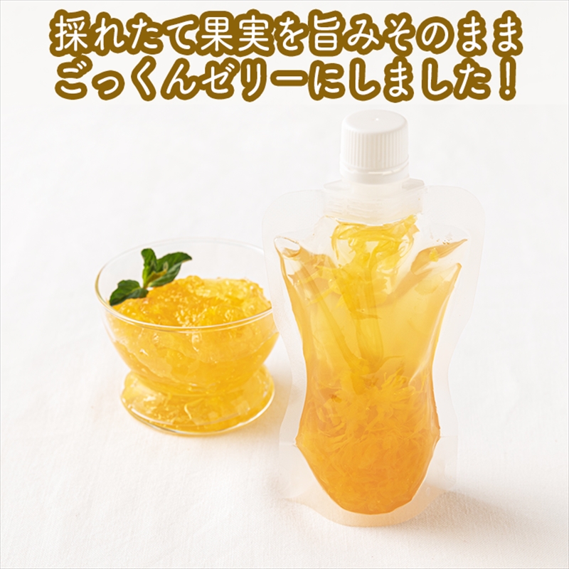 スイスで加工品を学んだ農家が作った手づくりごっくんゼリー おまかせ30本セット 130ml みかん 甘夏 キウイ【 家庭用 自宅用 贈答品 贈答用 ギフト お取り寄せ お中元 お歳暮 贈り物 お祝い 神奈川県 小田原市 】 