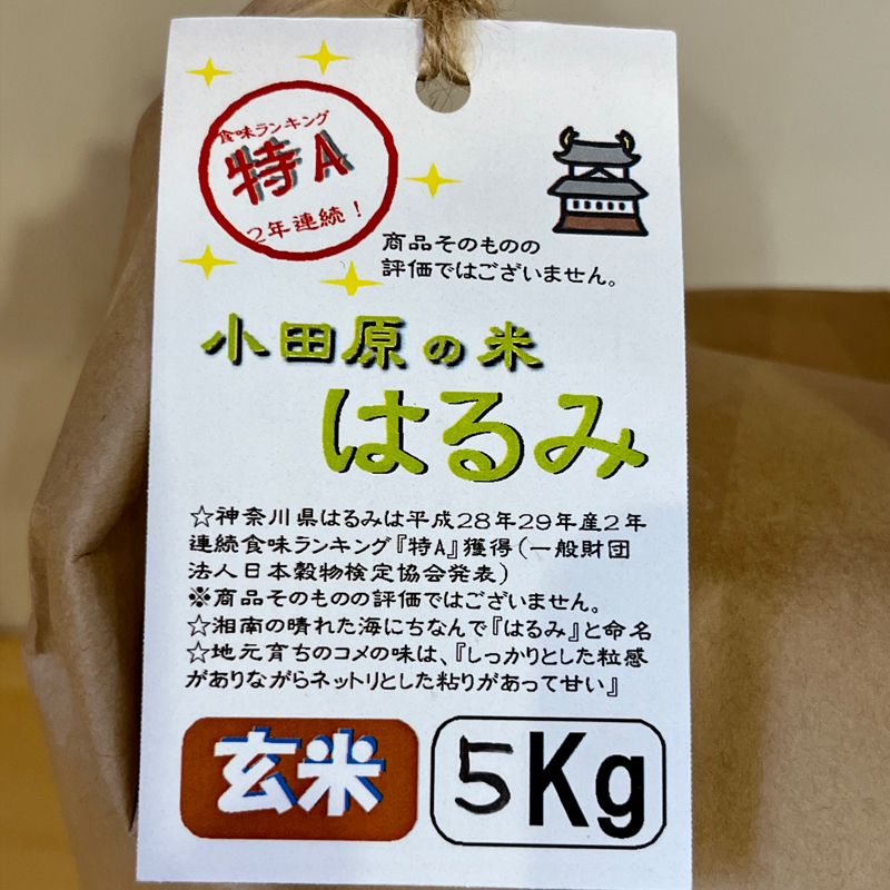 【定期便 3ヶ月】志村屋米穀店 令和6年産新米小田原市産　はるみ(玄米) 　新米　5kg　＜出荷時期：10月中旬より順次出荷開始＞【玄米 はるみ 特A 贈答用 ご家庭で 贈り物 クラフト袋入り 神奈川県 小田原市 】