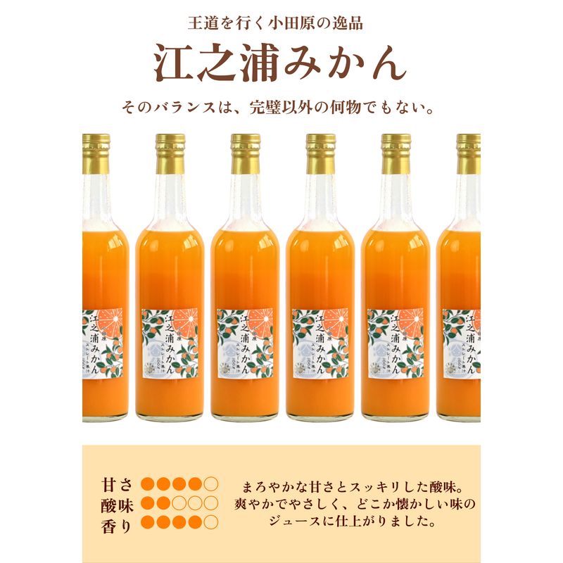 ギフトセット５００ml２本入り 小田原産江之浦みかん１００％ストレートジュース５００ml２本