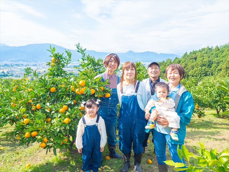 ＜品種厳選＞こだわりの早生みかん　10キロ＜2024年10月1日出荷開始～2024年12月10日出荷終了＞【 みかん 神奈川県 小田原市 】