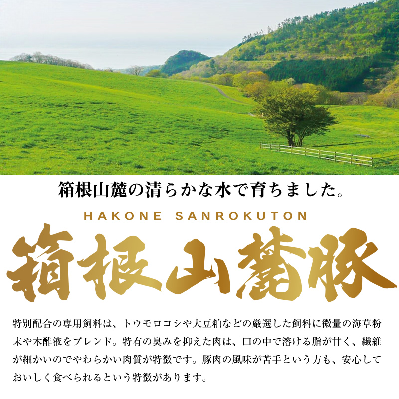 【定期便12ヵ月】箱根山麓豚　モモ・ウデ切り落とし３K盛り(500ｇ×６パック)【 箱根山麓豚 切り落とし 神奈川県 小田原市 】