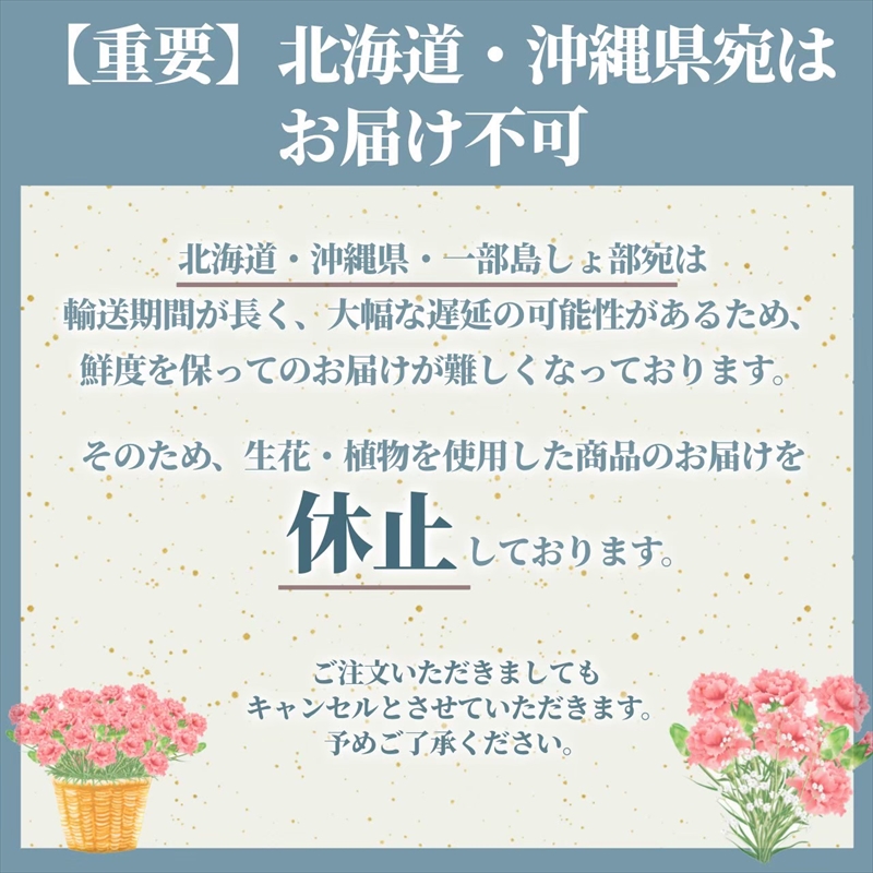 【定期便年12回　季節の花鉢】農林水産大臣賞を受賞したフローリストがアレンジする 季節を知らせる花鉢【 花 お花 神奈川県 小田原市 】