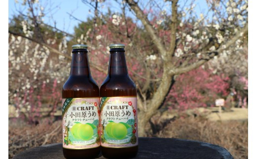 小田原うめクラフトチューハイ　36本セット