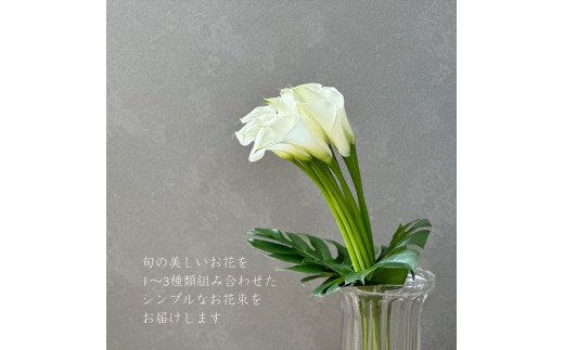 【月1回（全12回）】《数量限定・花瓶付き》～スタンダードstyle～季節の花束定期便（全12回）月1回お届け【 花 お花 神奈川県 小田原市 】