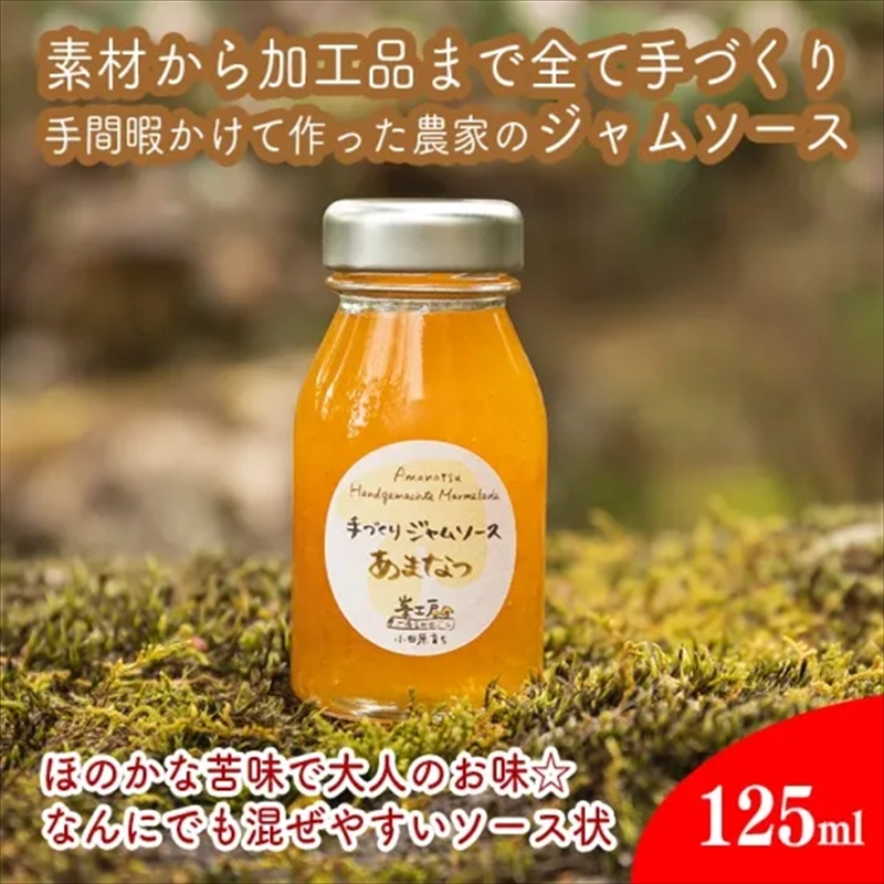 手づくりジャムソース 8本セット 手作りみかん キウイ あまなつ ブルーベリー 125ml 詰め合わせ ギフト 【 家庭用 自宅用 贈答品 贈答用 ギフト お取り寄せ お中元 お歳暮 贈り物 お祝い 神奈川県 小田原市 】