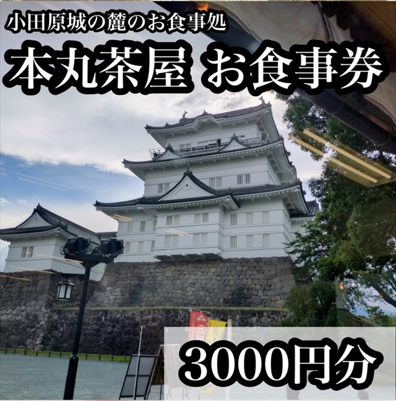 小田原城の麓のご飯屋さん　本丸茶屋御食事券 3000円分【 お食事券 神奈川県 小田原市 】