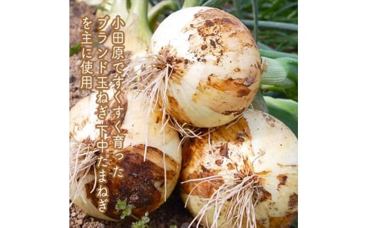 スイスで加工品を学んだ農家が手間暇かけて手づくりした『しいたけとたまねぎのなんでもソース』≪レギュラーサイズ≫18本セット【 家庭用 自宅用 贈答品 贈答用 ギフト お取り寄せ お中元 お歳暮 贈り物 お祝い 神奈川県 小田原市 】