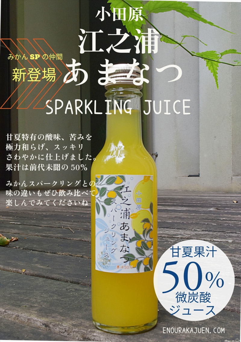 小田原産江之浦あなまつスパークリング果汁入り飲料果汁５０％２００ml３０本【 神奈川県 小田原市 】