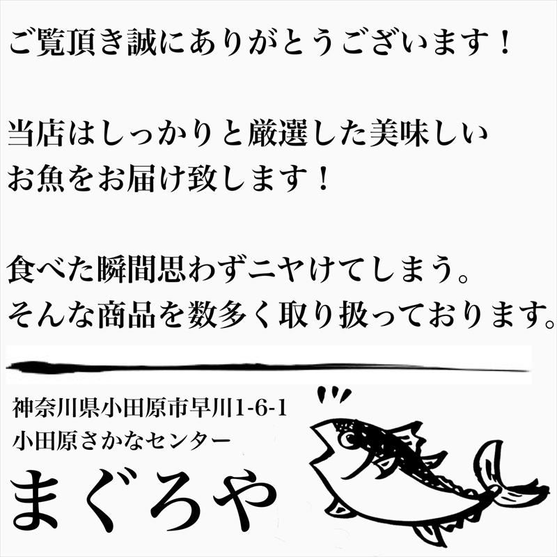  王様の塩辛 ゆず風味 小パック 2枚【 惣菜 いかの塩辛 あおりいか 珍味 柚子 お取り寄せ 御中元 お中元 お歳暮 父の日 母の日 贈り物 日本酒 焼酎 おつまみ】【神奈川県小田原市】