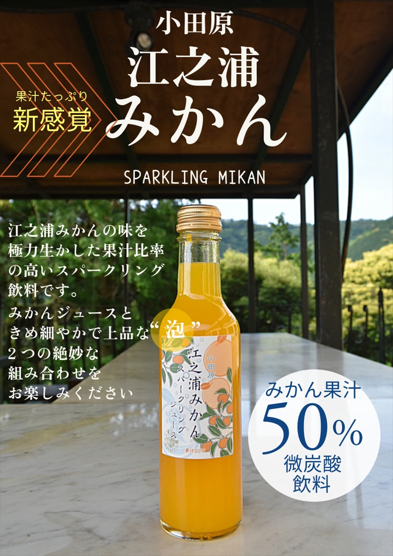 定期便 ３回 小田原産江之浦みかんスパークリング果汁入り飲料果汁５０％２００ml３０本【 神奈川県 小田原市 】