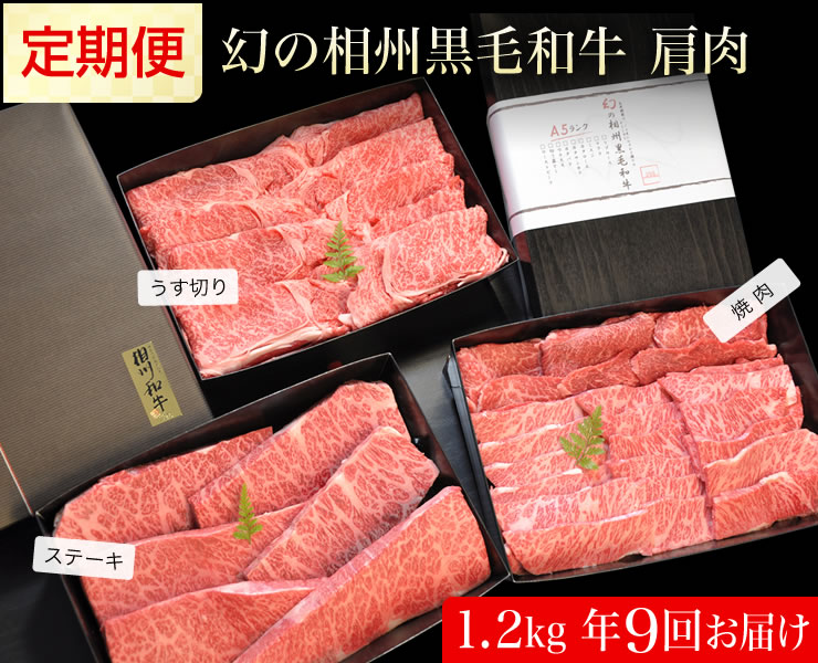 牛肉 定期便 9回 幻の相州黒毛和牛肩肉 1.2kg×9回 計10.8kg【 相州牛 相州和牛 神奈川県 小田原市 】